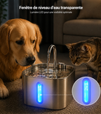 Fontaine à eau pour chats et chiens