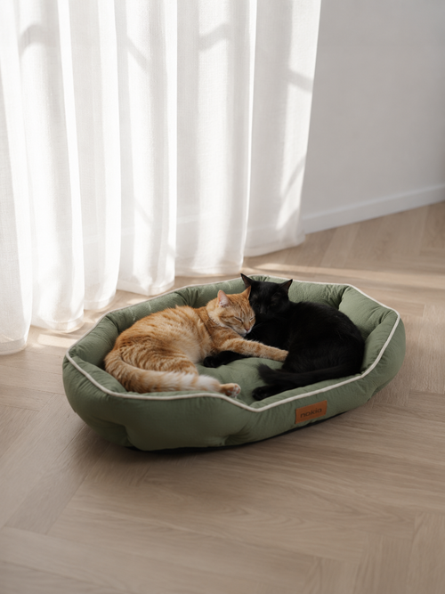 Panier XL Confort Premium